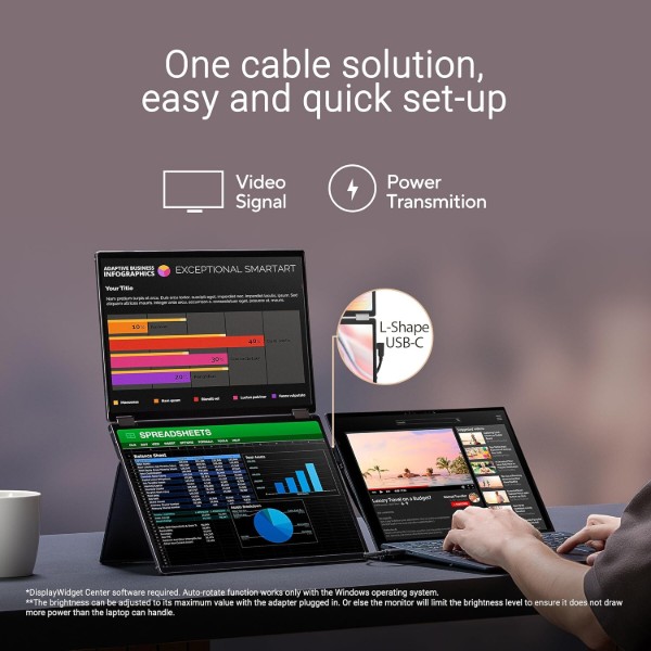 Фото - Монітор Asus ZenScreen DUO MQ149CD